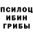 Псилоцибиновые грибы Magic Shrooms Irina Nastich