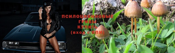 эйфоретик Вяземский