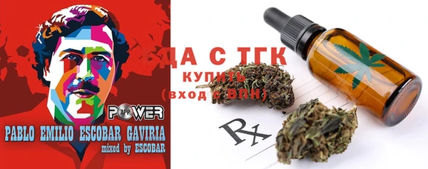 эйфоретик Вяземский