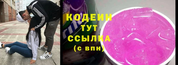 гашик Вязьма