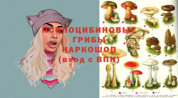эйфоретик Вяземский