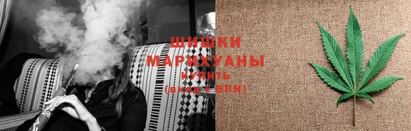 эйфоретик Вяземский