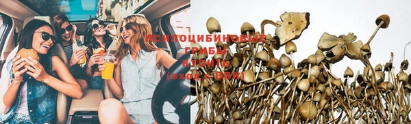 гашик Вязьма