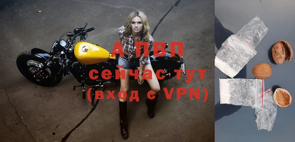эйфоретик Вяземский