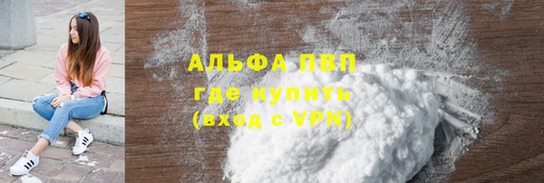 гашик Вязьма