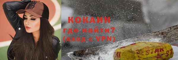 гашик Вязьма