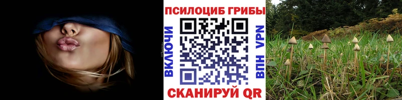 Псилоцибиновые грибы прущие грибы  Купить где  Котовск 